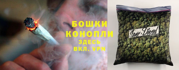 2c-b Белокуриха