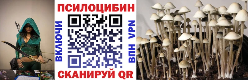 Галлюциногенные грибы Psilocybine cubensis  ссылка на мегу ССЫЛКА  Верхняя Салда 